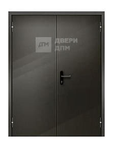 Глухая двустворчатая уличная противопожарная дверь ДП-039